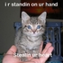 Chaturbate - AnonymousUser's Test app 666 images