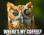 Chaturbate - AnonymousUser's Test app 666 images