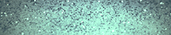 Chaturbate - wickedmuffin's image for WickedMuffins LUSH