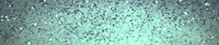 Chaturbate - AnonymousUser's WickedMuffins LUSH images