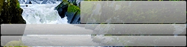 Chaturbate - AnonymousUser's flex_goal images