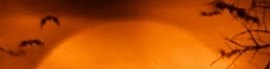 Chaturbate - AnonymousUser's Dorothy's UltraApp - 2nd Show images