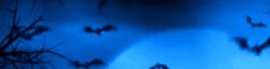 Chaturbate - AnonymousUser's Dorothy's UltraApp - 2nd Show images