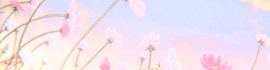 Chaturbate - AnonymousUser's AutumnVonDoe's Goals images