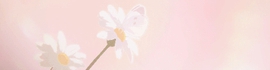 Chaturbate - AnonymousUser's AutumnVonDoe's Goals images