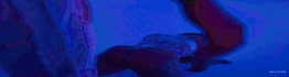 Chaturbate - AnonymousUser's LovenseTania images