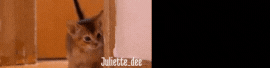 Chaturbate - juliette_dee's image for Alejo