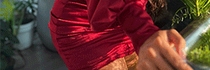 Chaturbate - AnonymousUser's lizzlovense images