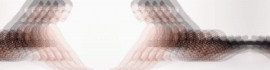 Chaturbate - AnonymousUser's Gabylovense images