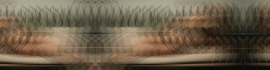 Chaturbate - AnonymousUser's bellaroseLovense images