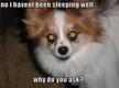 nosleep
